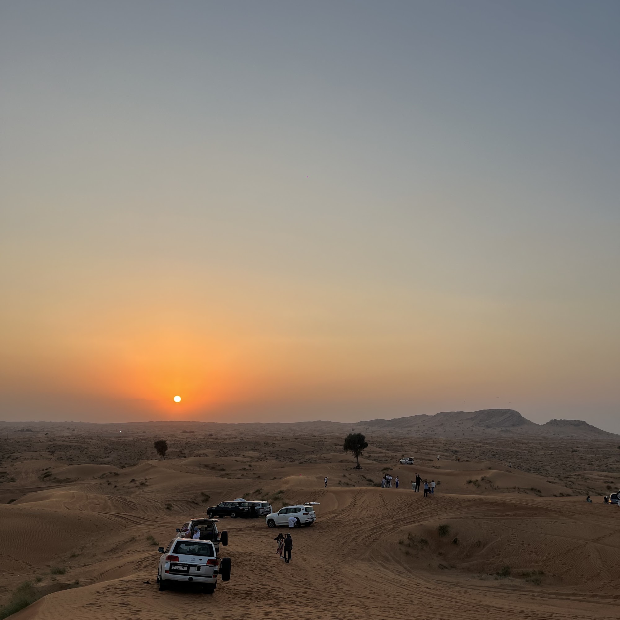 Dune bashing on a Dubai desert safari at golden hour